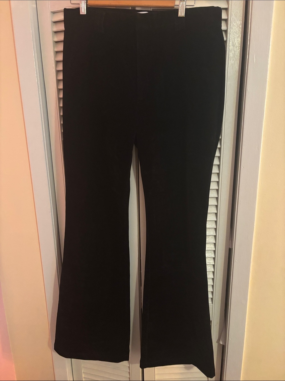 Steve Madden lack velvet classic Flared Dress Pants